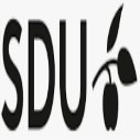 http://www.ishallwin.com/Content/ScholarshipImages/127X127/sdu uni-2.png